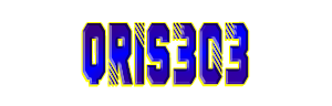 QRIS303 Logo